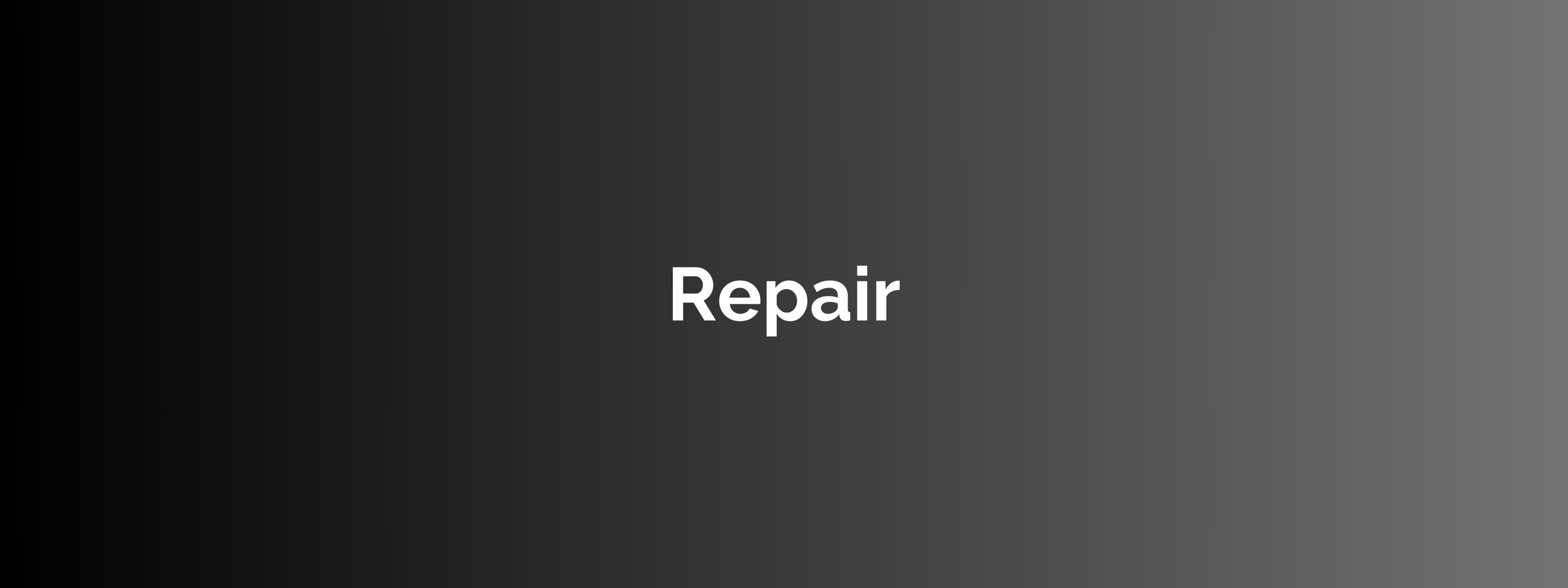 Step 2: Repair